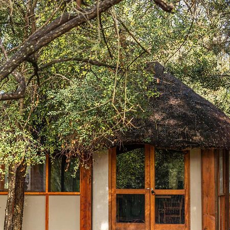 Ndzhaka Tented Camp Khu bảo tồn Khu bảo tồn Manyeleti Game Reserve Ngoại thất bức ảnh