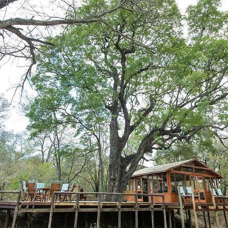 Ndzhaka Tented Camp Khu bảo tồn Khu bảo tồn Manyeleti Game Reserve Ngoại thất bức ảnh