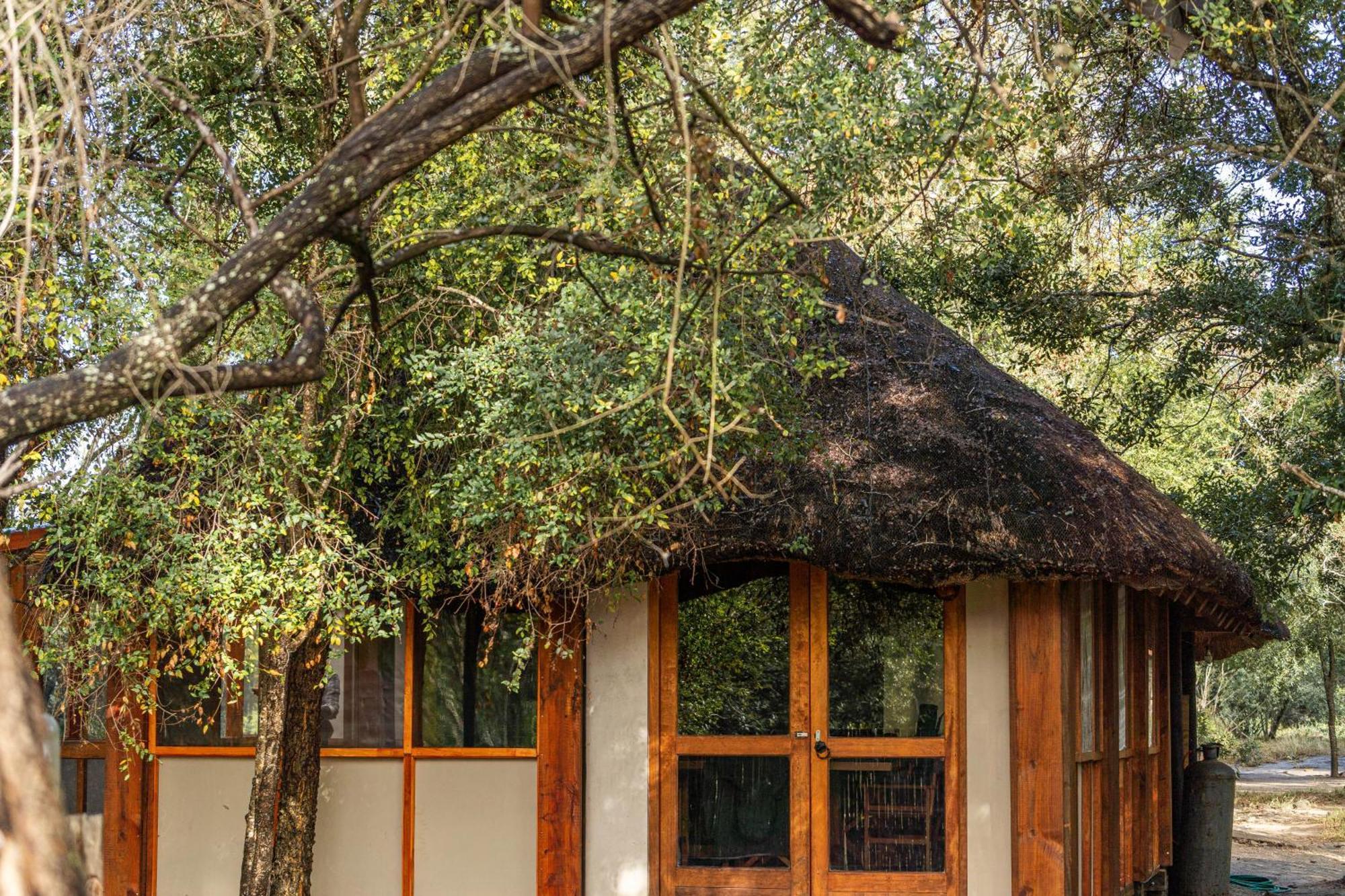 Ndzhaka Tented Camp Khu bảo tồn Khu bảo tồn Manyeleti Game Reserve Ngoại thất bức ảnh