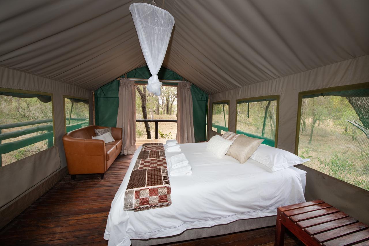 Ndzhaka Tented Camp Khu bảo tồn Khu bảo tồn Manyeleti Game Reserve Ngoại thất bức ảnh